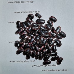 Giant Runner Bean Seeds Lady Di  - 1
