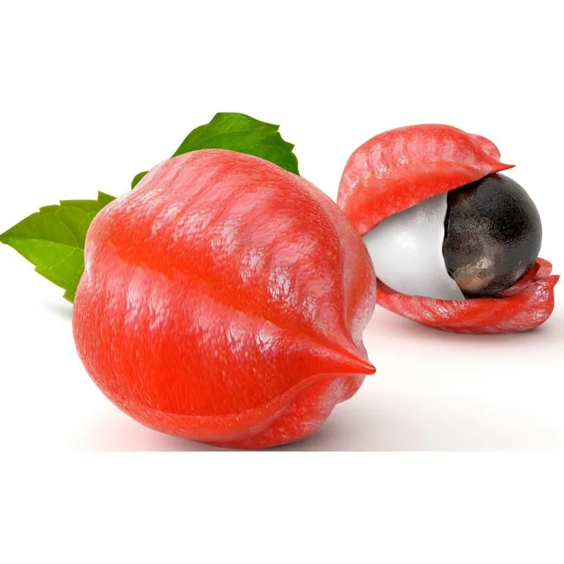 Guarana Frön (Paullinia cupana)