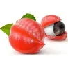 Semi di Guaranà (Paullinia Cupana)