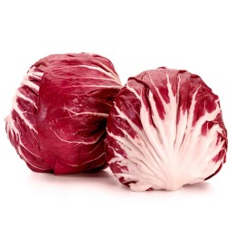 Graines de Chicorée Rouge Verona - 351.868725