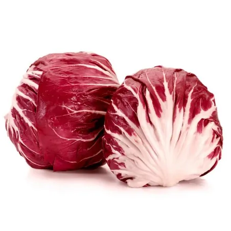 Radicchio - Chicory Seeds Red Verona
