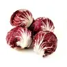 Radicchio - Chicory Seeds Red Verona