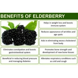 Elder - Elderberry Seeds (Sambucus nigra)  - 7