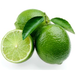 Nasiona limonki tahitańskiej (Citrus latifolia) - 228.714671