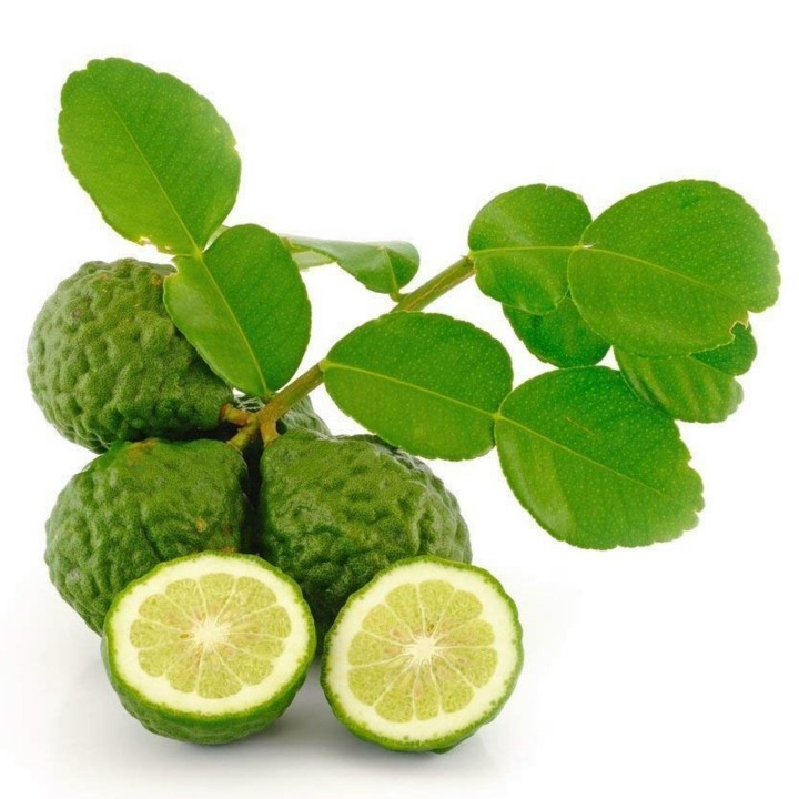 Nasiona limonki kaffir (Citrus hystrix) - 3.15