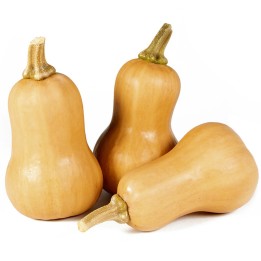 Small Fruited, Mini Butternut Squash Seeds - 1.665