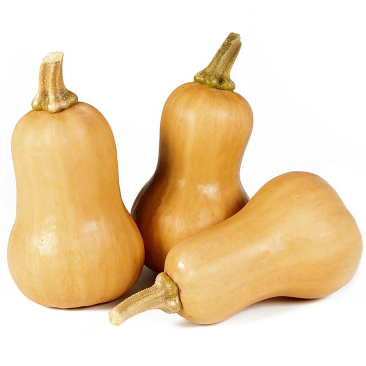 Small Fruited, Mini Butternut Squash Seeds - 1.665