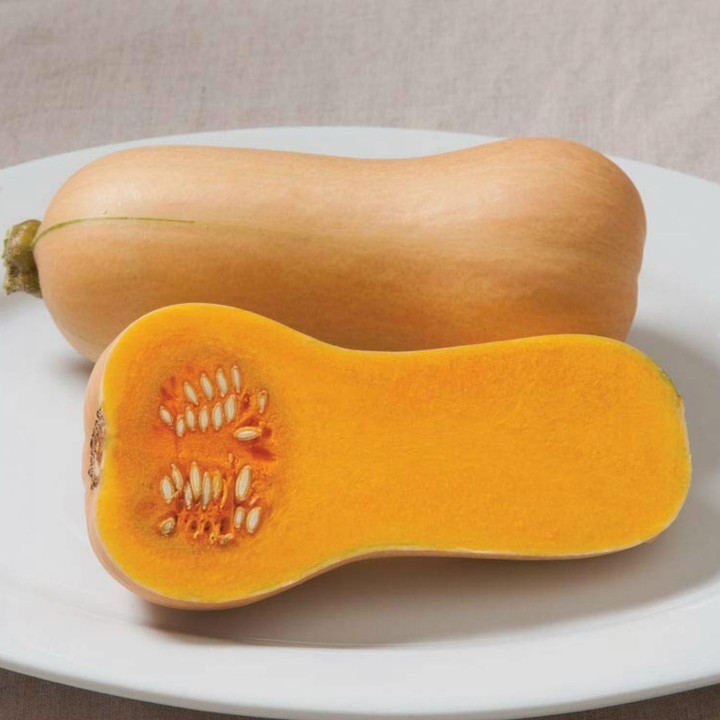Small Fruited, Mini Butternut Squash Seeds - 1.665