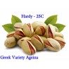 Price: €1.65 - Pistachio Seeds Greek Variety "Aegina" (Pistacia vera) - 
