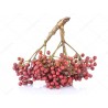 Price: €2.75 - Szecsuani bors mag (Zanthoxylum piperitum) - 