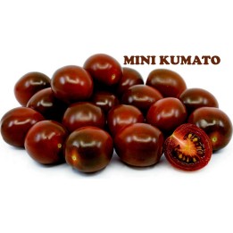 Kumato Mini Schwarzkirschtomate Samen - 275.630501