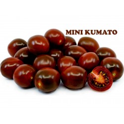 Семена томатов черри КУМАТО  - 2