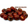 Price: €2.35 - Semi di pomodoro ciliegio nero Kumato - Seeds Gallery