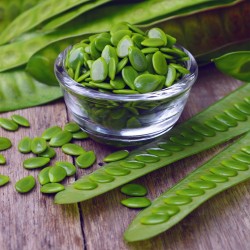 Price: €1.95 - Semi di Leucaena (Leucaena leucocephala) - 