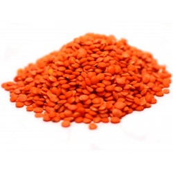 Price: €1.85 - Graines de Lentille Rouge Bolognaise Cultivée (Lens culinaris) - 