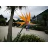 Magok Pompás papagájvirág (Strelitzia reginae)