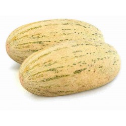 Price: €2.95 - Mirzachul, Gulabi, Torpedo Cantaloupmelon frö - Seeds Gallery