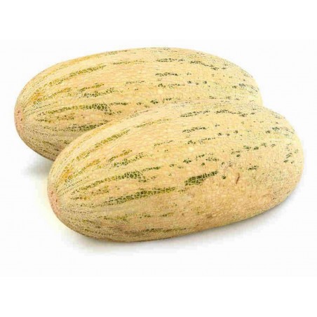 Price: €2.95 - Mirzachul, Gulabi, Torpedo Melon Seeds - Seeds Gallery