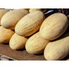 Price: €2.95 - Mirzachul, Gulabi, Torpedo Melon Seeds - Seeds Gallery