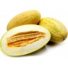 Price: €2.95 - Mirzachul, Gulabi, Torpedo Melon Seeds - Seeds Gallery