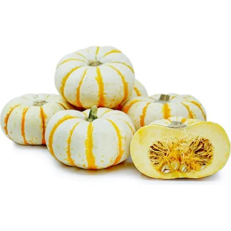 LIL' PUMP-KE-MON Pumpkin Seeds