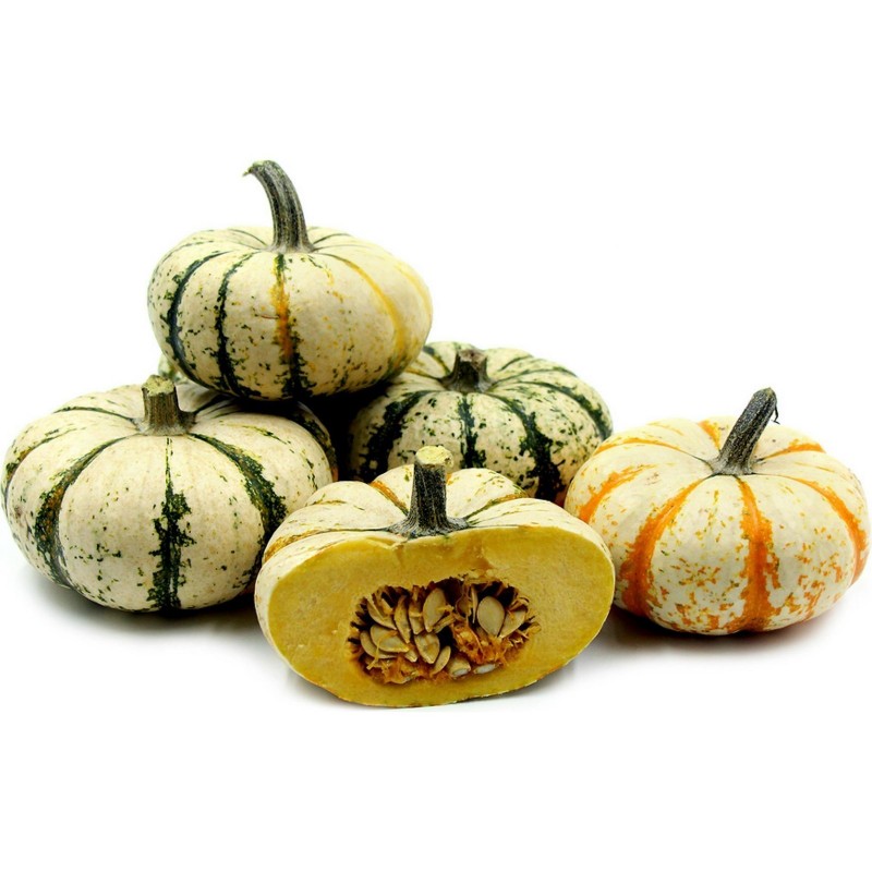 Price: €1.95 - Speise kürbis Samen LIL' PUMP-KE-MON (Mikrowellen kürbis) - Seeds Gallery