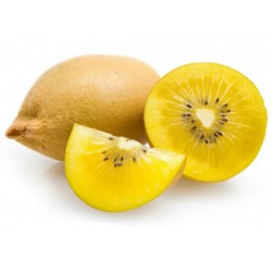 Price: €1.25 - Golden Kiwi Växt Frön Hardy - 25°C - 