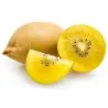 Semi di Golden Kiwi - Kiwi Giallo - 25°C
