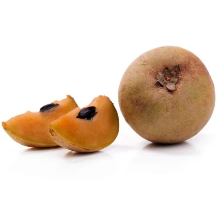 Sementes chico sapote