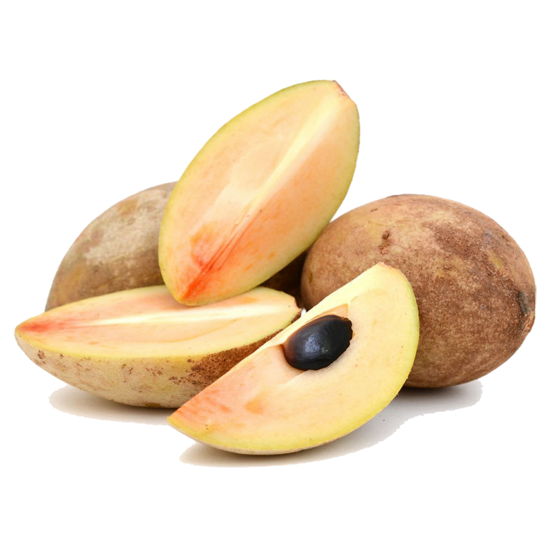Price: €2.85 - Graines Sapotillier - 