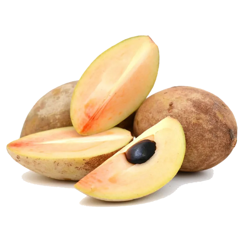 Sementes chico sapote