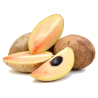 Price: €2.85 - Graines Sapotillier - 