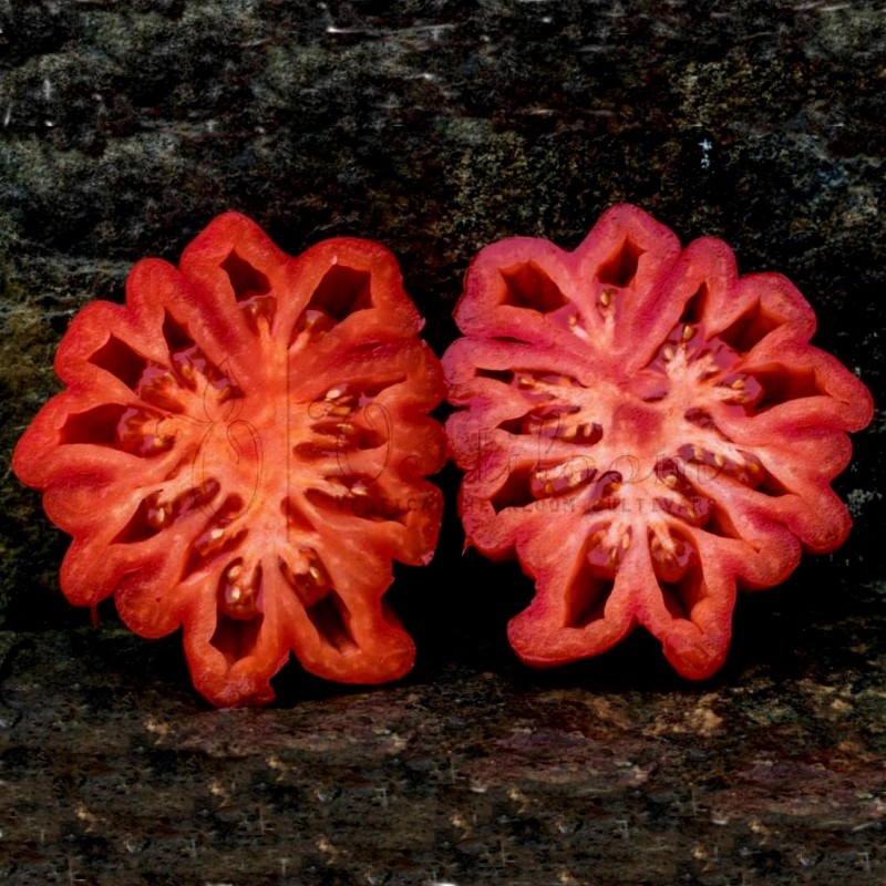 Price: €1.95 - Semillas de tomate Pink Accordion - Seeds Gallery