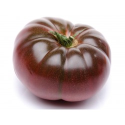 Price: €1.85 - Sementes Tomate Cherokee roxo - Seeds Gallery