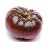 Price: €1.85 - Σπόροι τσεροκι ποικιλια ντοματας - Cherokee Purple - Seeds Gallery