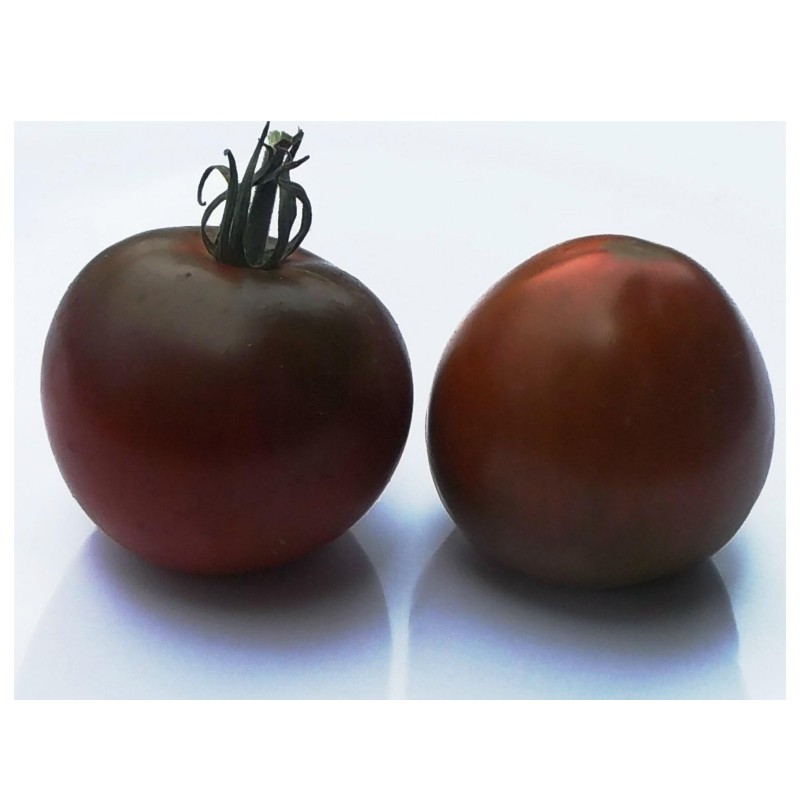 Graines de tomate ancienne noire "Black Prince"  - 4