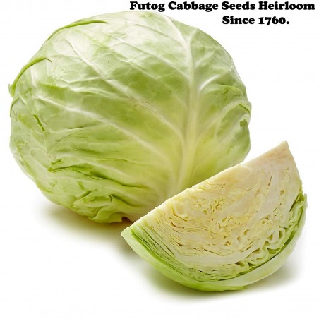 Price: €1.95 - Graines de chou Futog -