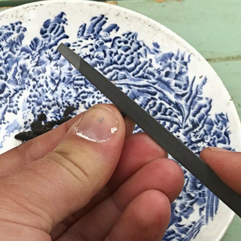 نقش بذور النباتات (تخدير/تخريب القشرة)