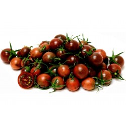 Schwarze Kirsch Tomaten Samen - Black Cherry Seeds Gallery - 4
