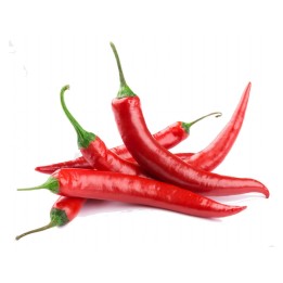 Vulkan Hot Chili Seeds - 1.485