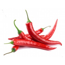 Semillas de Chile – Pimiento Vulkan  - 2