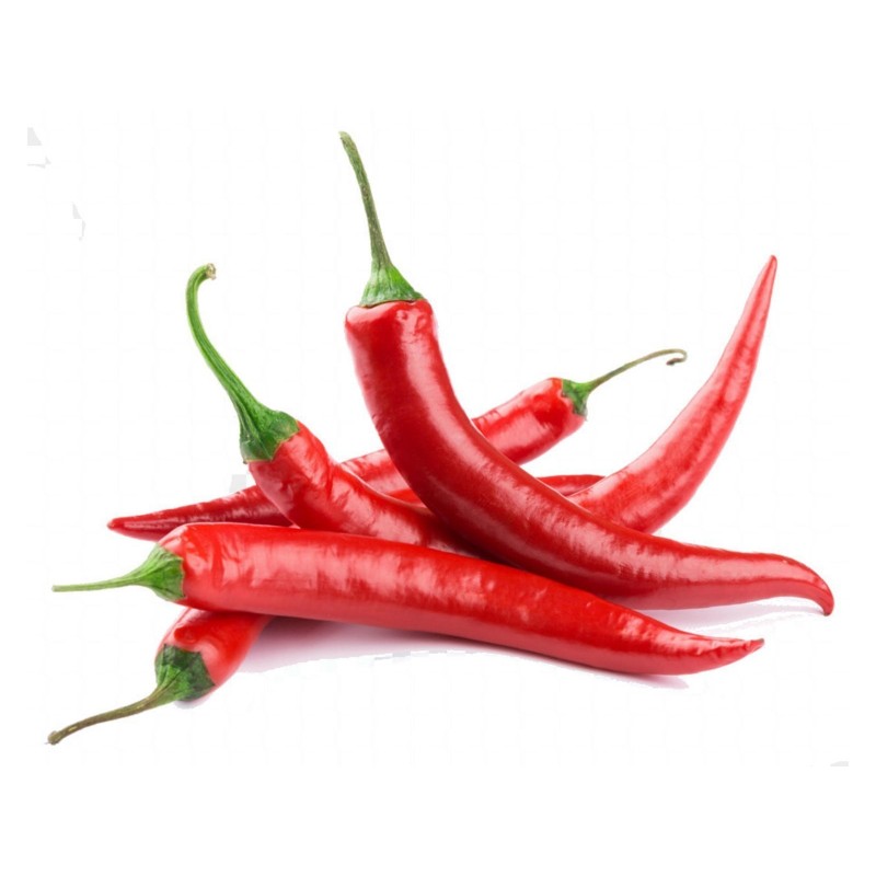 Semillas de Chile – Pimiento Vulkan  - 2