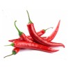 Price: €1.65 - Vulkan Hot Chili Seeds - 