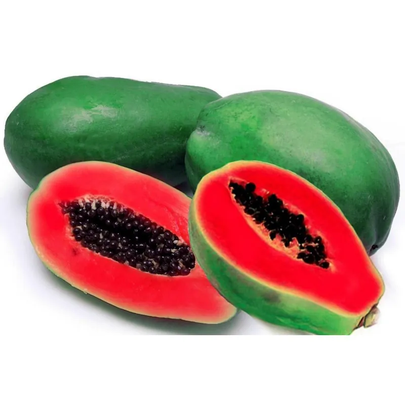 Κόκκινη Παπάγια Σπόροι - Σπάνιες (Carica papaya)