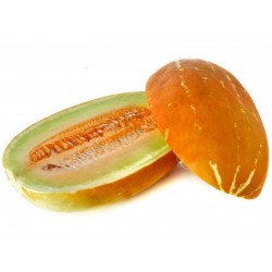 Semillas de melón Dulce Almizcle Tailandés Seeds Gallery - 6