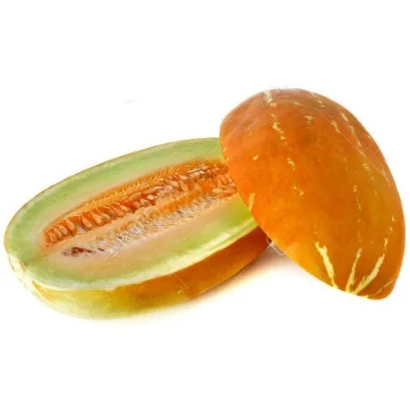 Semințe de pepene dulce Thai Musk