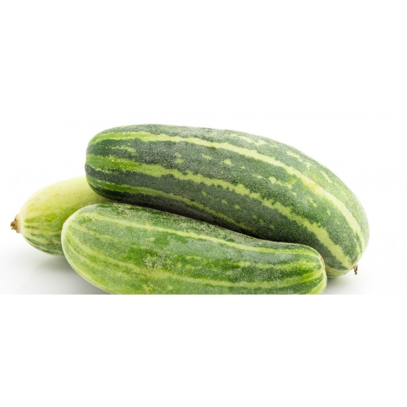 Price: €1.95 - Semillas de melón Dulce Almizcle Tailandés - Seeds Gallery