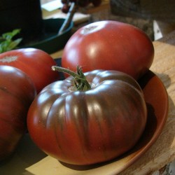 Price: €1.85 - Sementes de tomate ARBUZNYI (melancia) - Seeds Gallery