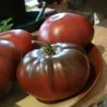 Semillas de tomate ARBUZNYI (sandía)
