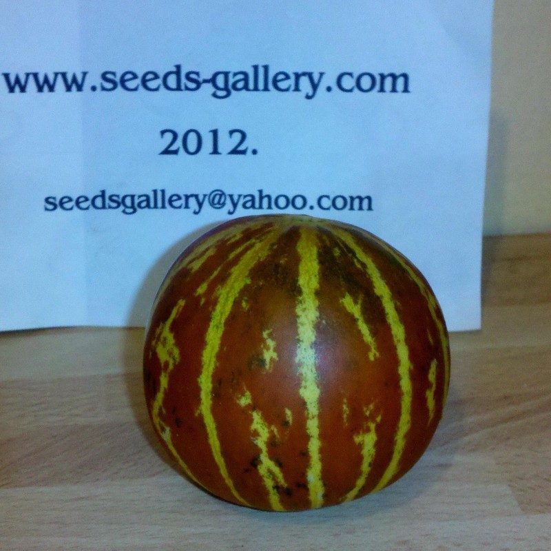 Price: €4.95 - Σπόροι Αρμενίων Πεπόνι Tigger - Seeds Gallery